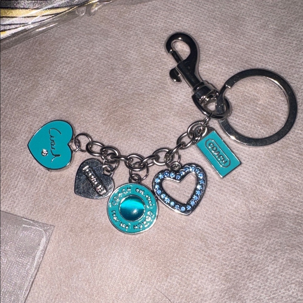Bag charm and twilly